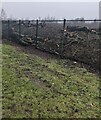 Logs behind a metal fence, Briton Ferry