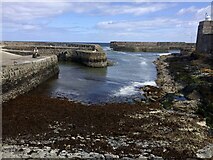 NJ5866 : Part of Portsoy Old Harbour by jeff collins