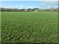 Farmland between the River Ribble and Tems Beck