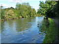 Grand Union Canal, Paddington Arm