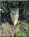 Old Milestone by the B6265, Tancred Lodge, Whixley Parish