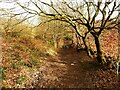 Un-named byway from Burn Road to Reap Hirst Road, Fixby