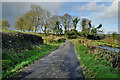 Aghafad Road, Ballyrenan