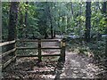 The bridleway to Trehidy Country Park