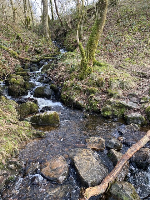 Woodland stream © Alan Hughes cc-by-sa/2.0 :: Geograph Britain and Ireland