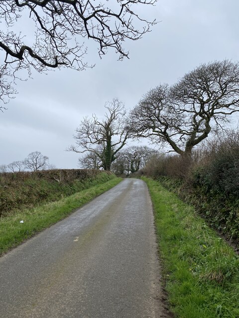 Country lane to Cosheston © Alan Hughes :: Geograph Britain and Ireland