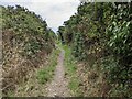 The well-defined bridleway near Sea View Farm