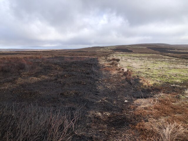 Kildale Moor © David Robinson :: Geograph Britain and Ireland