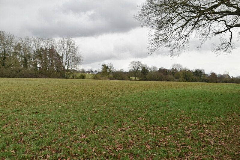 Suffolk pasture © N Chadwick cc-by-sa/2.0 :: Geograph Britain and Ireland