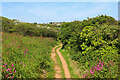 South West Coast Path