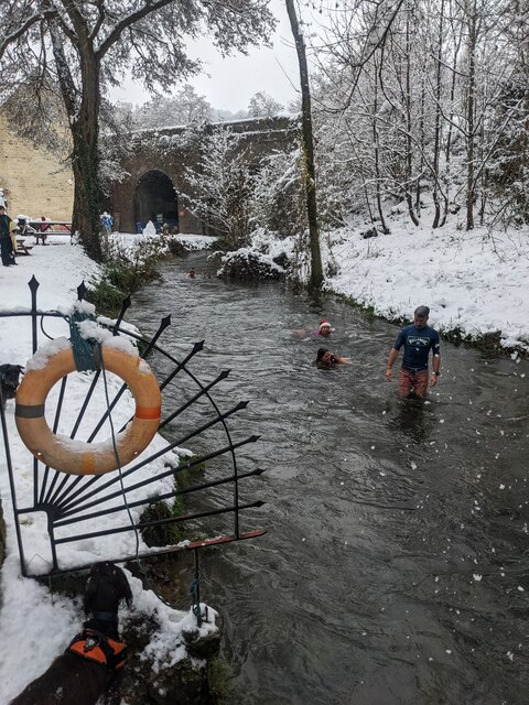 Swimming in the River Frome © J I Cheetham cc-by-sa/2.0 :: Geograph ...