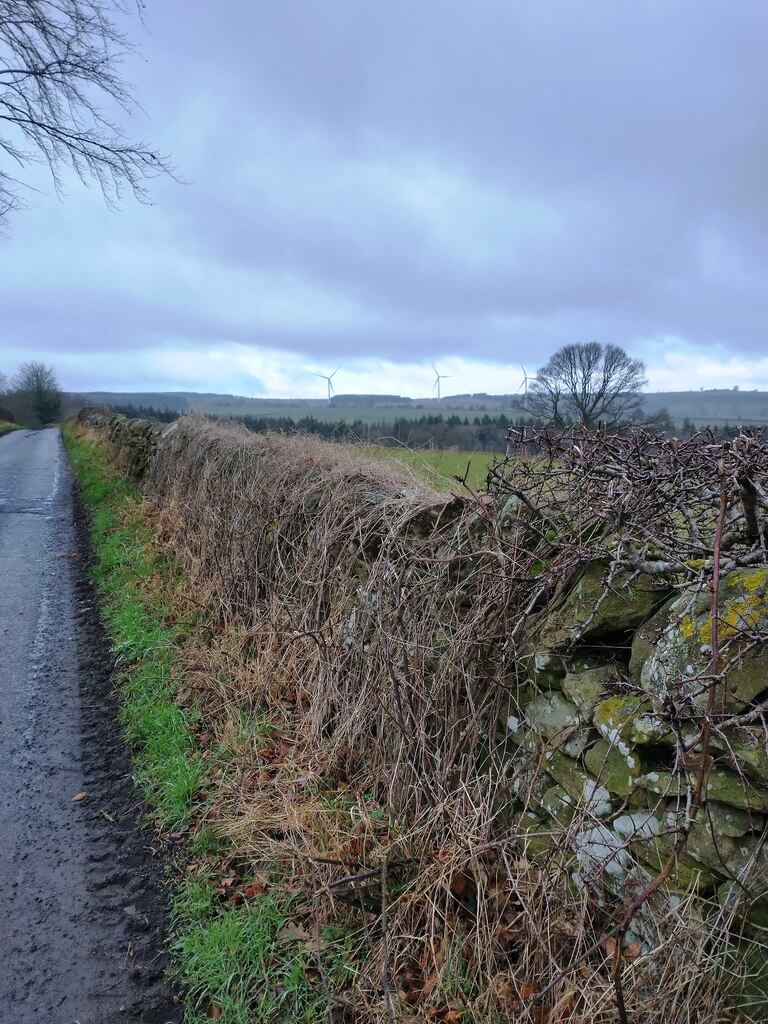 Old stone wall near Hill Top © Robert Graham cc-by-sa/2.0 :: Geograph ...