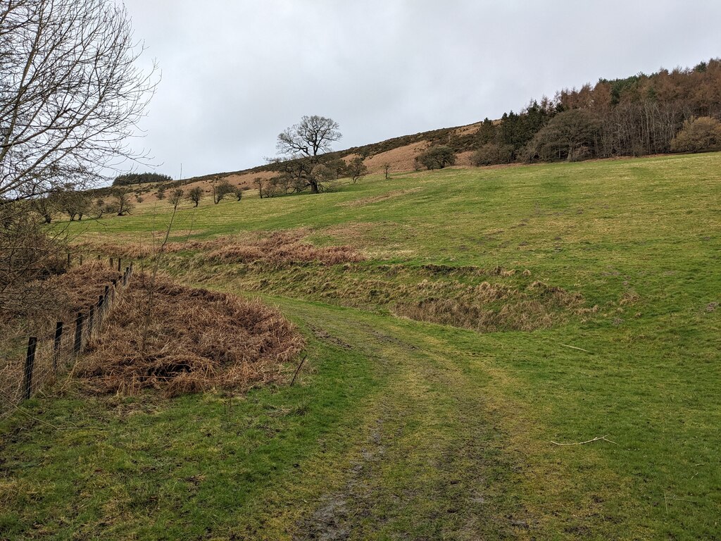 track-below-graig-hill-fabian-musto-cc-by-sa-2-0-geograph-britain