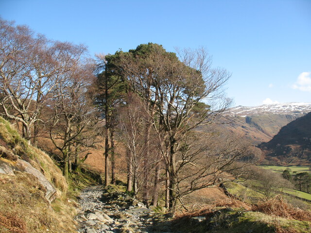 The old road above Seatoller © Adrian Taylor :: Geograph Britain and ...