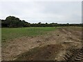 SW6918 : Muddy tracks into a field near Penhale by David Medcalf