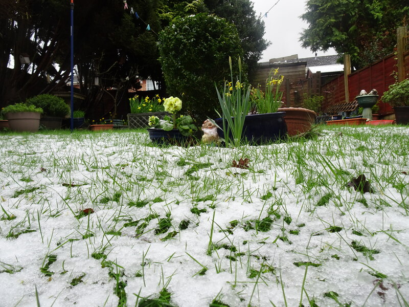 First Snow 2024 © Gordon Griffiths ccbysa/2.0 Geograph Britain and