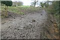 Muddy public footpath at Hazel Cottage