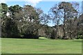 Western end of the golf course in Meyrick Park