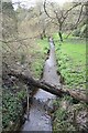 River Bourne at Prince of Wales Road