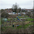 Wiggington Road Allotments, York