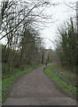 Foss Islands Cycle Path, York