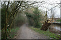 The River Foss Walk, York