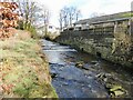 Weirs on Limy Water