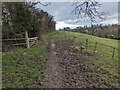 Muddy path to Ruabon