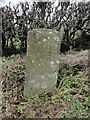 Old Milestone by the A48, west of Minsterworth