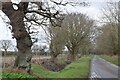 Lane near Westleton