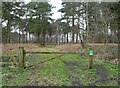 Track onto Allerthorpe Common