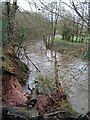 The River Rhymney in spate