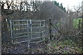 Kissing gate at footpath junction