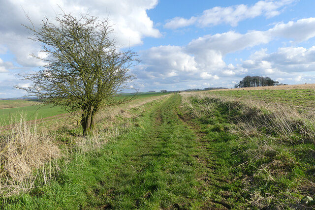 Bridleway, Bishopstone © Andrew Smith :: Geograph Britain and Ireland