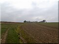 Track to Haugham Slates Farm