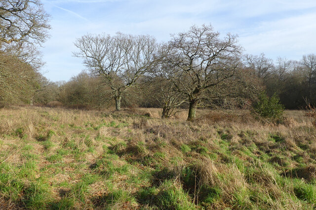 Damp grassland, Selborne © Andrew Smith cc-by-sa/2.0 :: Geograph ...