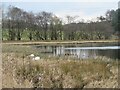 NS9666 : Half Loaf Pond, near Inchcross by M J Richardson