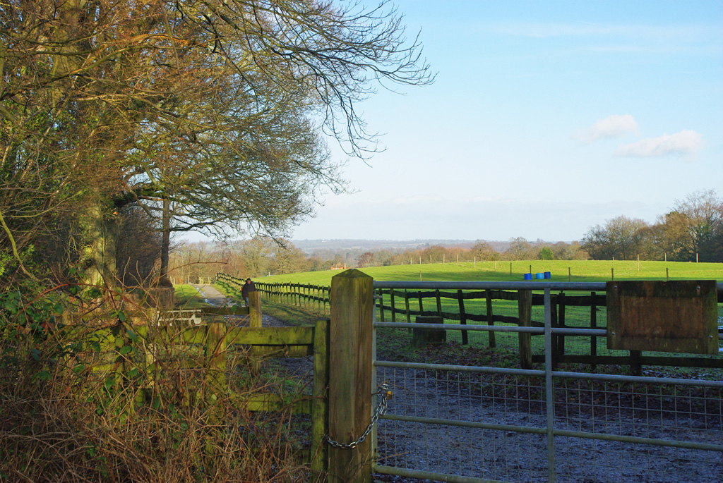 Paddocks near Pooh car park © Robin Webster cc-by-sa/2.0 :: Geograph ...