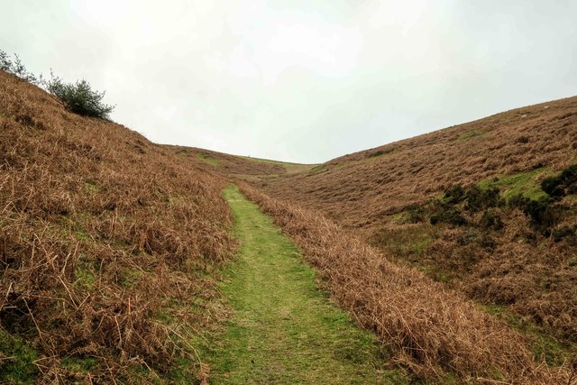 Path through a small valley © Jeff Buck :: Geograph Britain and Ireland