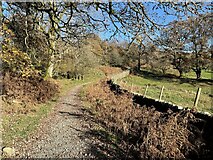 SD3199 : Path near High Yewdale by Adrian Taylor