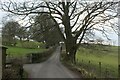 SD5288 : Narrow Country Lane near Barrows Green by Chris Heaton