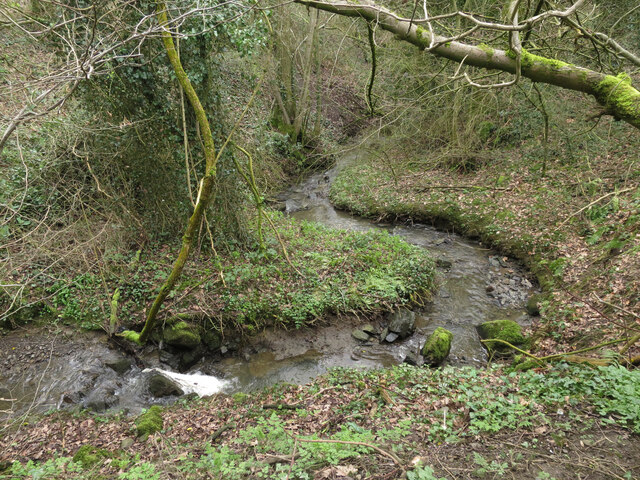 Stream through Ladyhouse Dingle \u00a9 Dave Croker :: Geograph Britain and ...