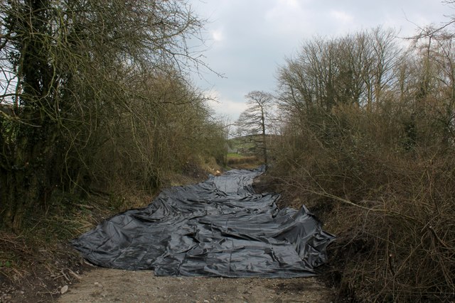 Lancaster Canal between Stainton Bridge... © Chris Heaton cc-by-sa/2.0 ...