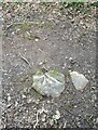 SN7205 : Cut stone on footpath off Church Road, Pontardawe by John Jenkins