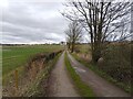 SU5177 : Bridleway towards Hampstead Norreys by Oscar Taylor