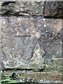 SN7305 : Cut Mar on Bethesda Chapel, Ynys-meudwy Road by John Jenkins