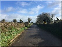 W4147 : Minor road near Ballinascarty by Steven Brown