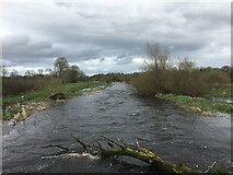 S0751 : River Suir near Holycross by Steven Brown