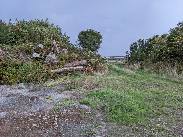 A tangle of logs and brambles © David Medcalf :: Geograph Britain and ...