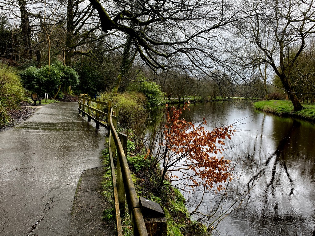 A wet path, Mullaghmore © Kenneth Allen :: Geograph Britain and Ireland